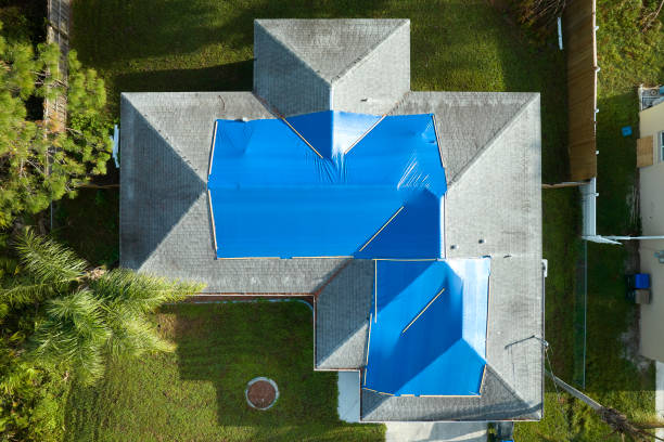 Best Chimney Flashing Repair  in Solon, IA