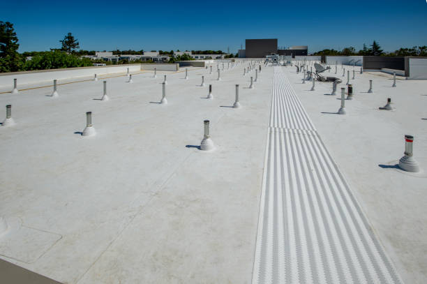 Best Roof Ventilation Installation  in Solon, IA